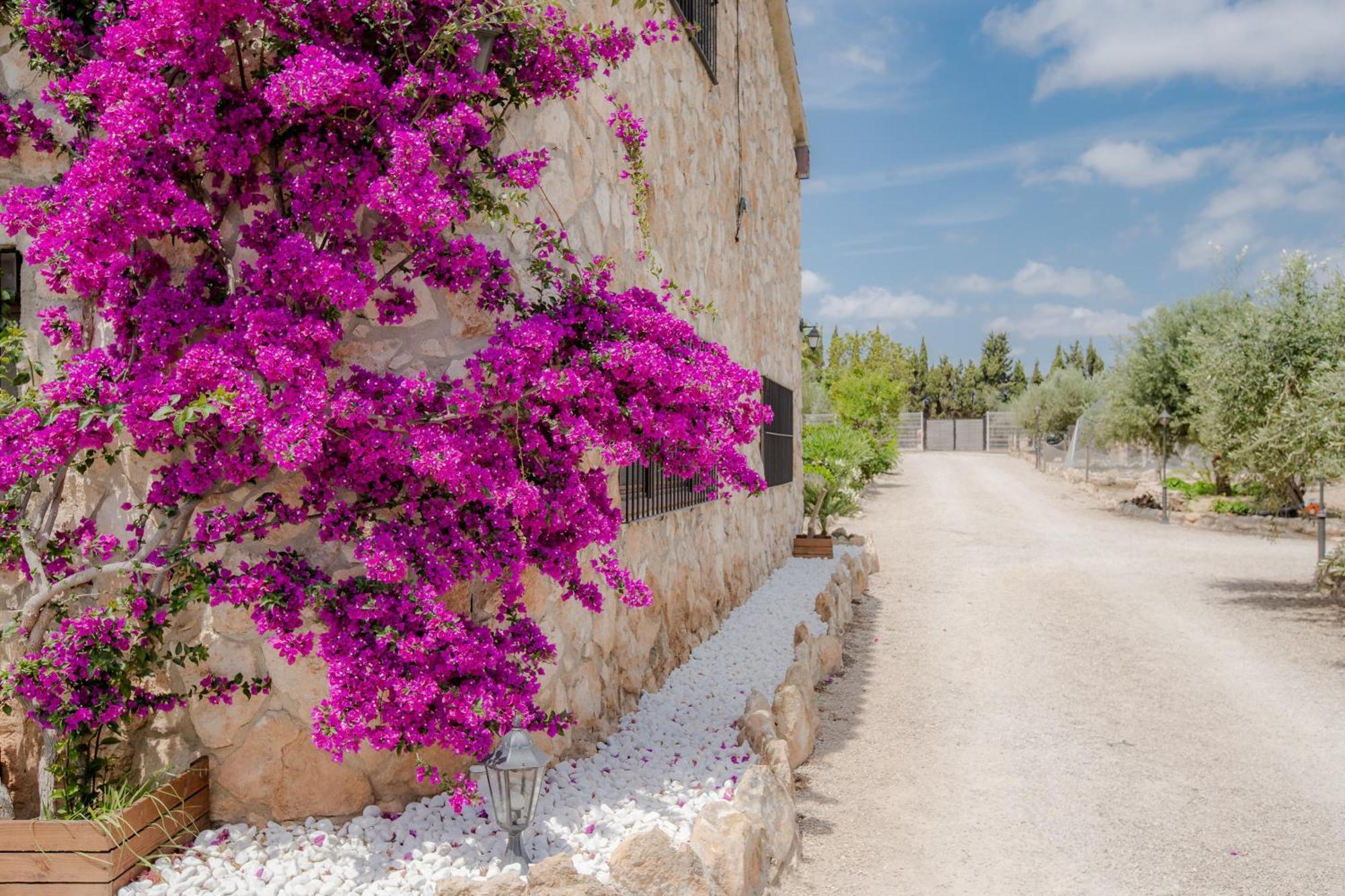 Villa Rural Avril Camarles ภายนอก รูปภาพ