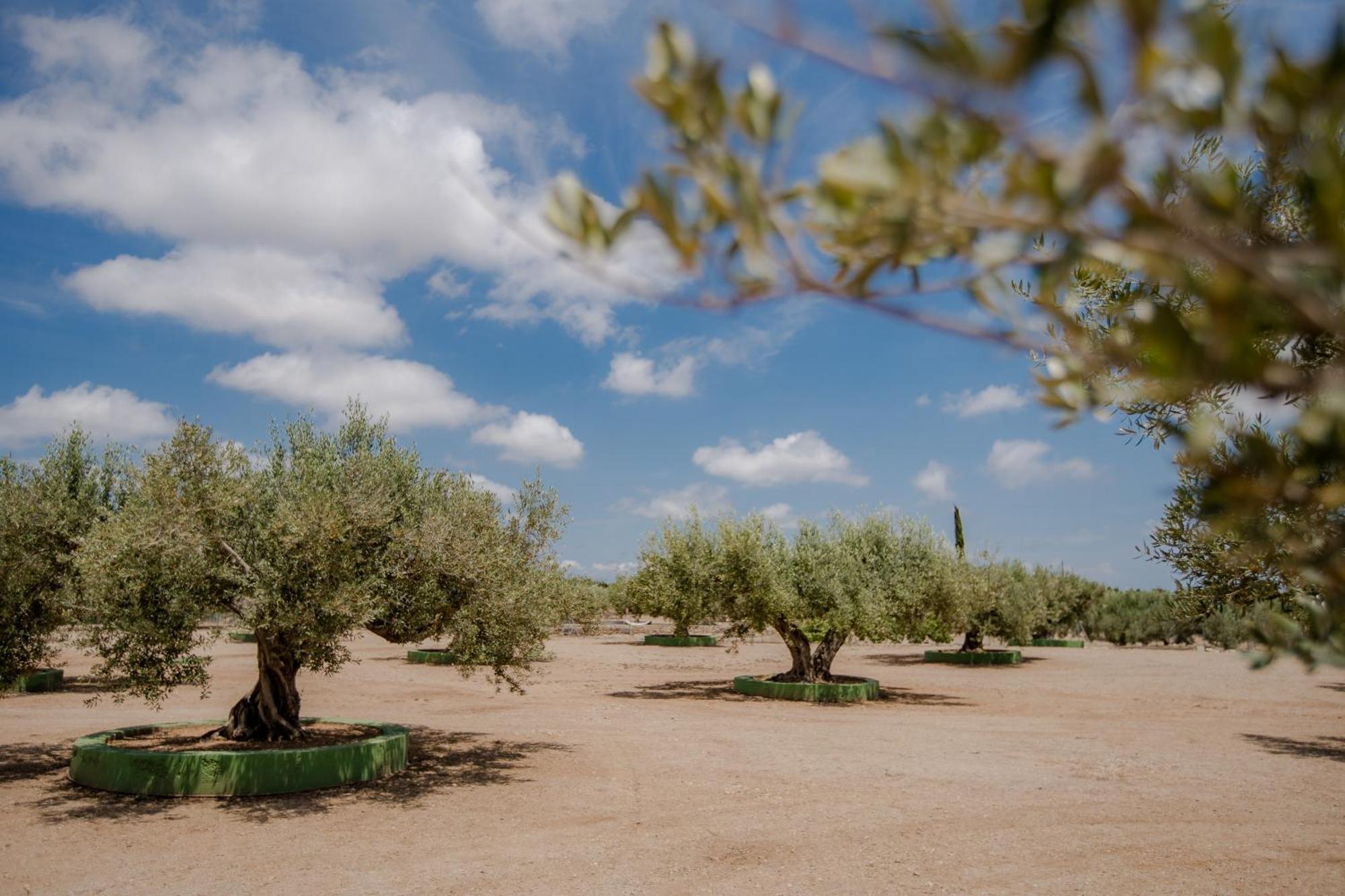 Villa Rural Avril Camarles ภายนอก รูปภาพ